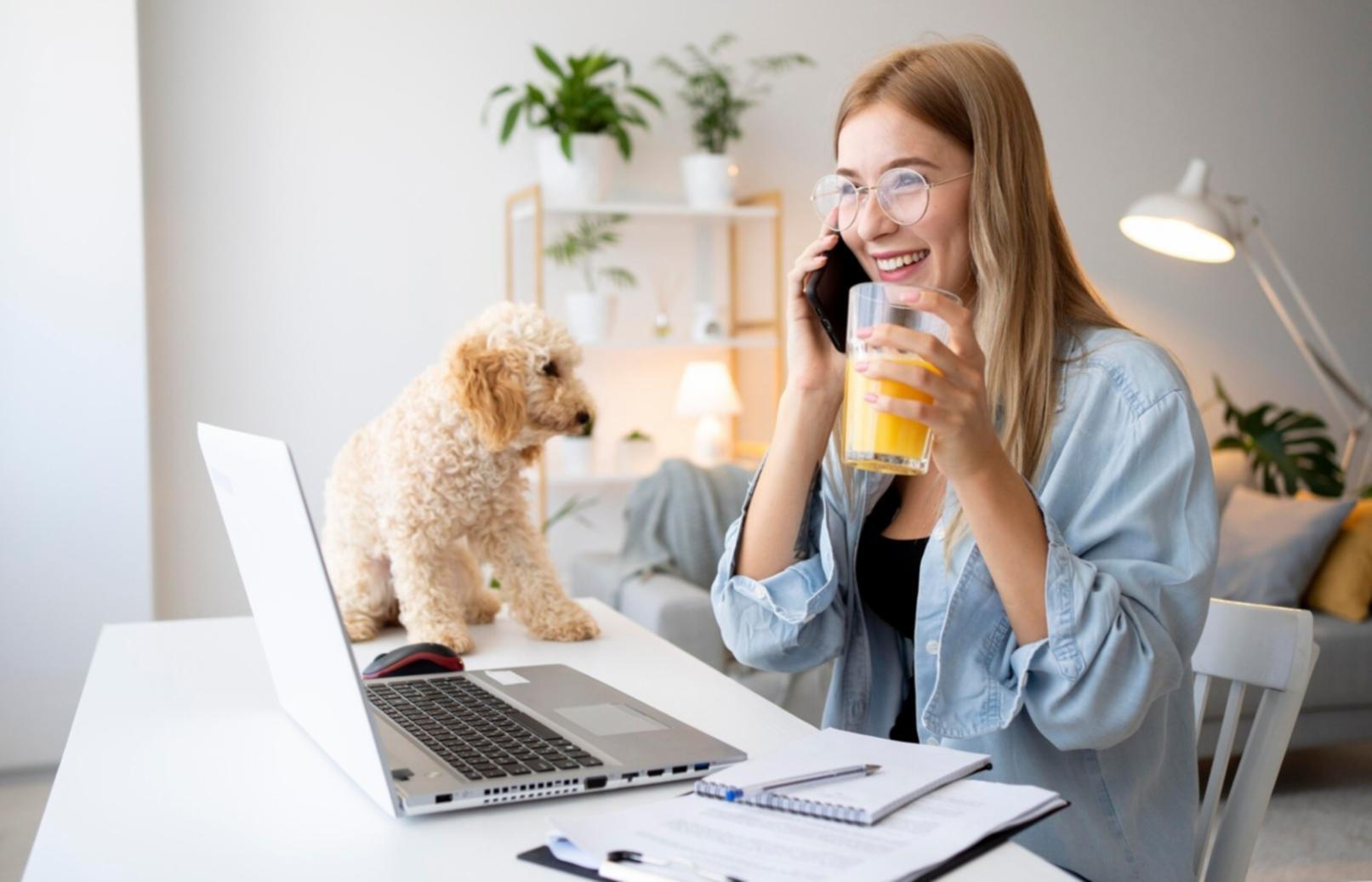 Platformă educațională pentru cercetare cuvinte cheie